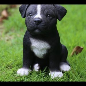 Meet your Posher, Taniyah